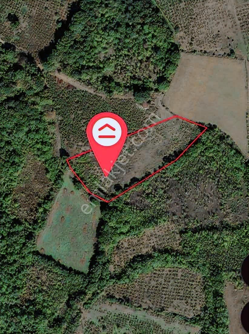 Yön Group'tan Hendek'te İmar Planına Yakın 9646m2 Tarla