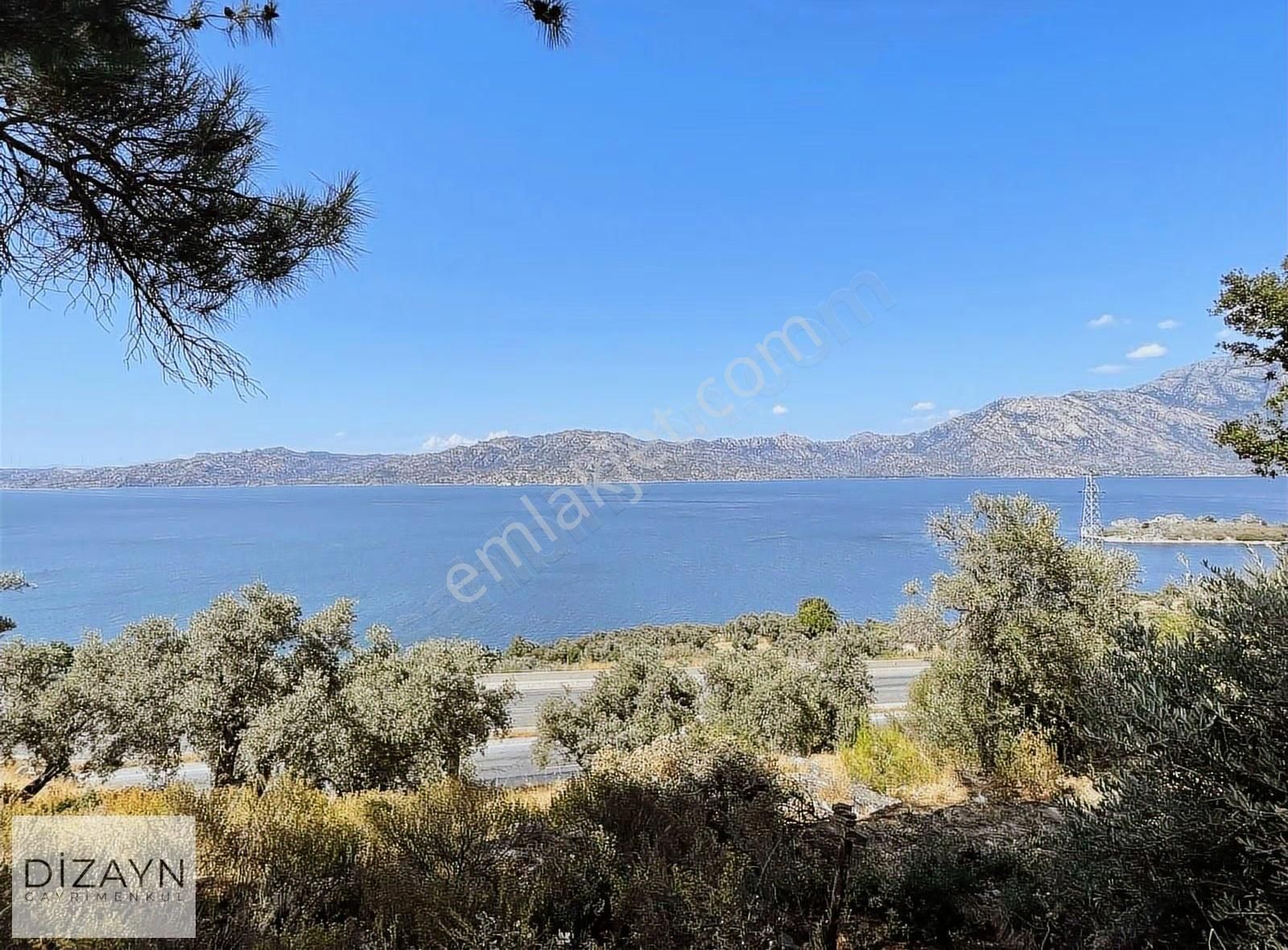 Bafa Gölü Manzaralı 255m2 Zeytinlik