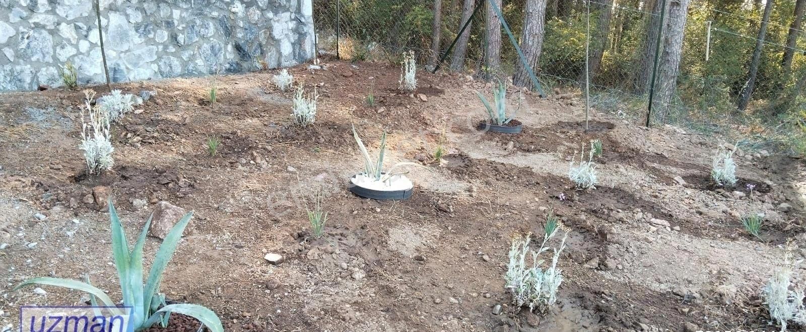 Güzelçamlı Bölgesinde Yatırımlık Arsa - Görsel 7