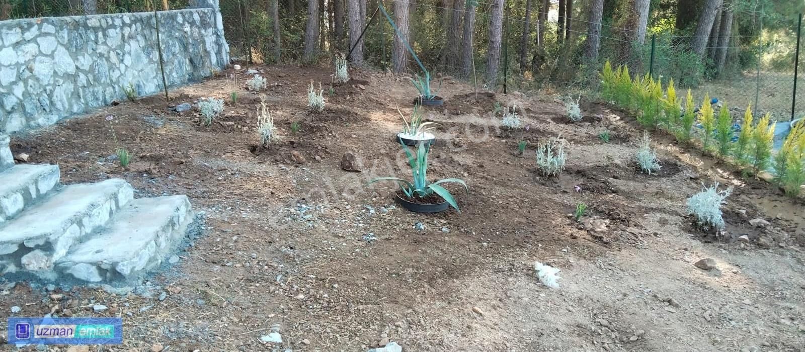 Güzelçamlı Bölgesinde Fırsat Arsası - Görsel 4