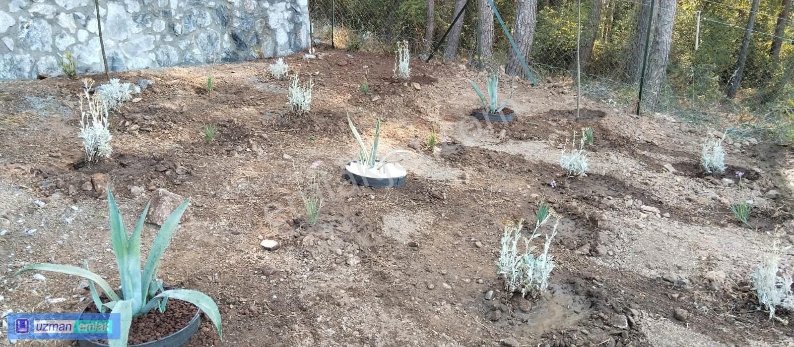 Güzelçamlı Bölgesinde Fırsat Arsası - Görsel 2