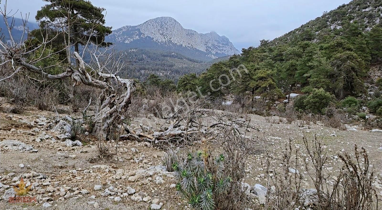 Konyaaltı Geyikbayırı'nda Mükemmel Arazi - Görsel 9