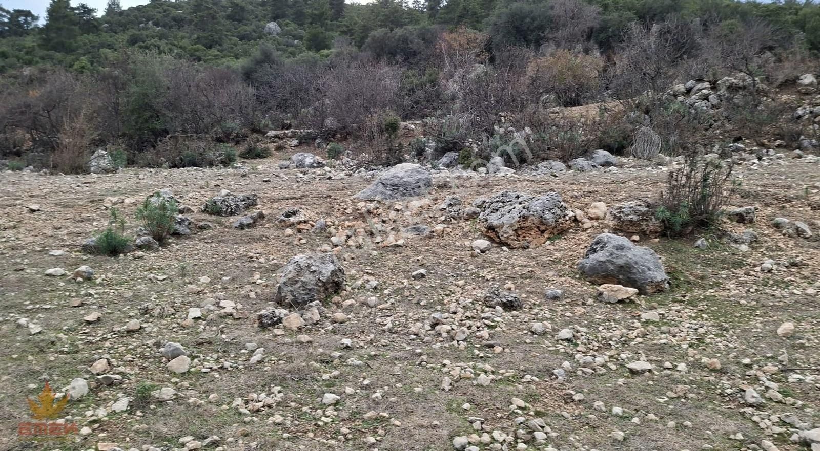 Konyaaltı Geyikbayırı'nda Mükemmel Arazi - Görsel 10