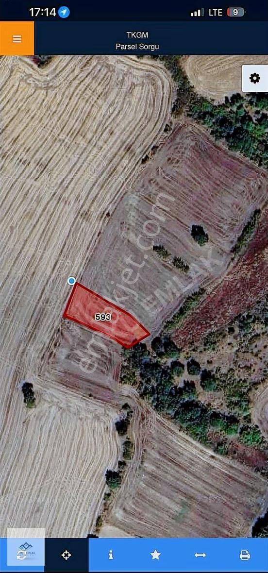 Pehlivanköy Tilkipınar Da 1025 M2 İmar Sınırı Satılık Tarla - Görsel 7