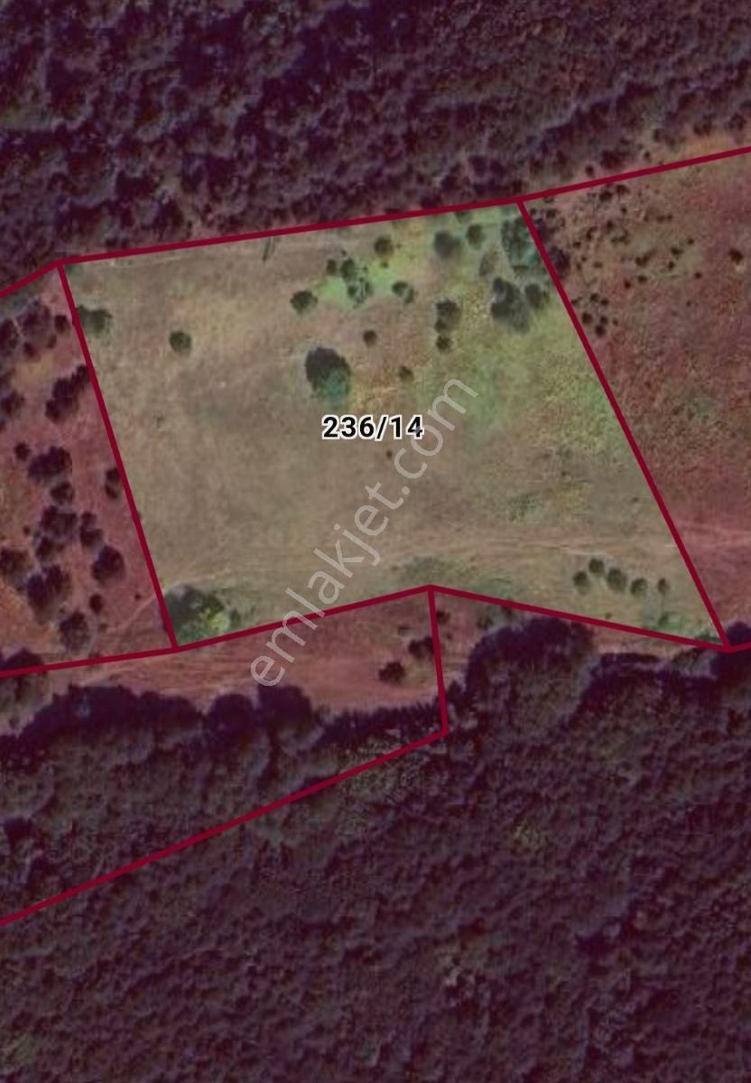 K2 Pera Yatırımlık Tarla Orhangazi Yenisölöz 10.851 M² Tek Tapu - Görsel 2