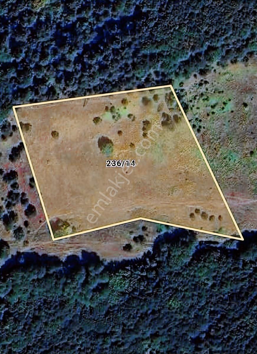 K2 Pera Yatırımlık Tarla Orhangazi Yenisölöz 10.851 M² Tek Tapu