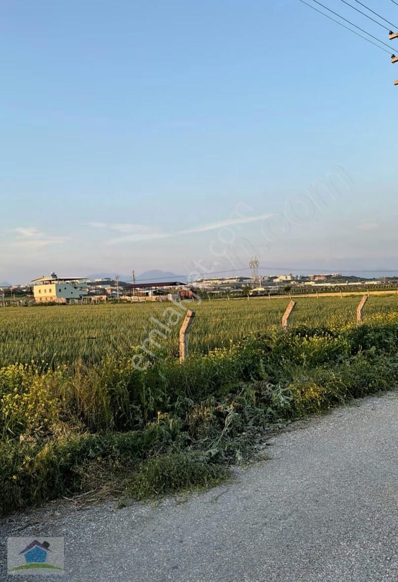 Pino Dan Menderes Tekeli' De Yerleşim Yerine Yakın Satılık Tarla - Görsel 5