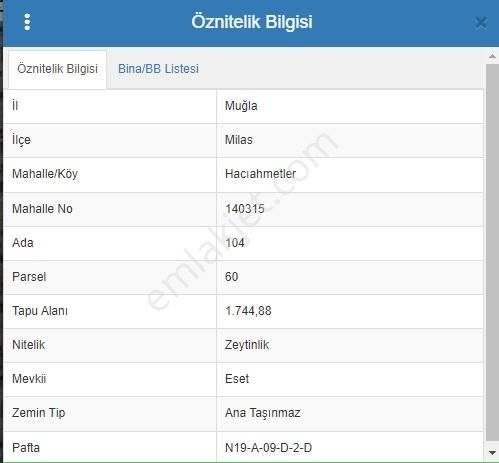 Hacıahmetler Köye Yakın Yolu Açık Ve Yatırımlık Zeytinlik - Görsel 8