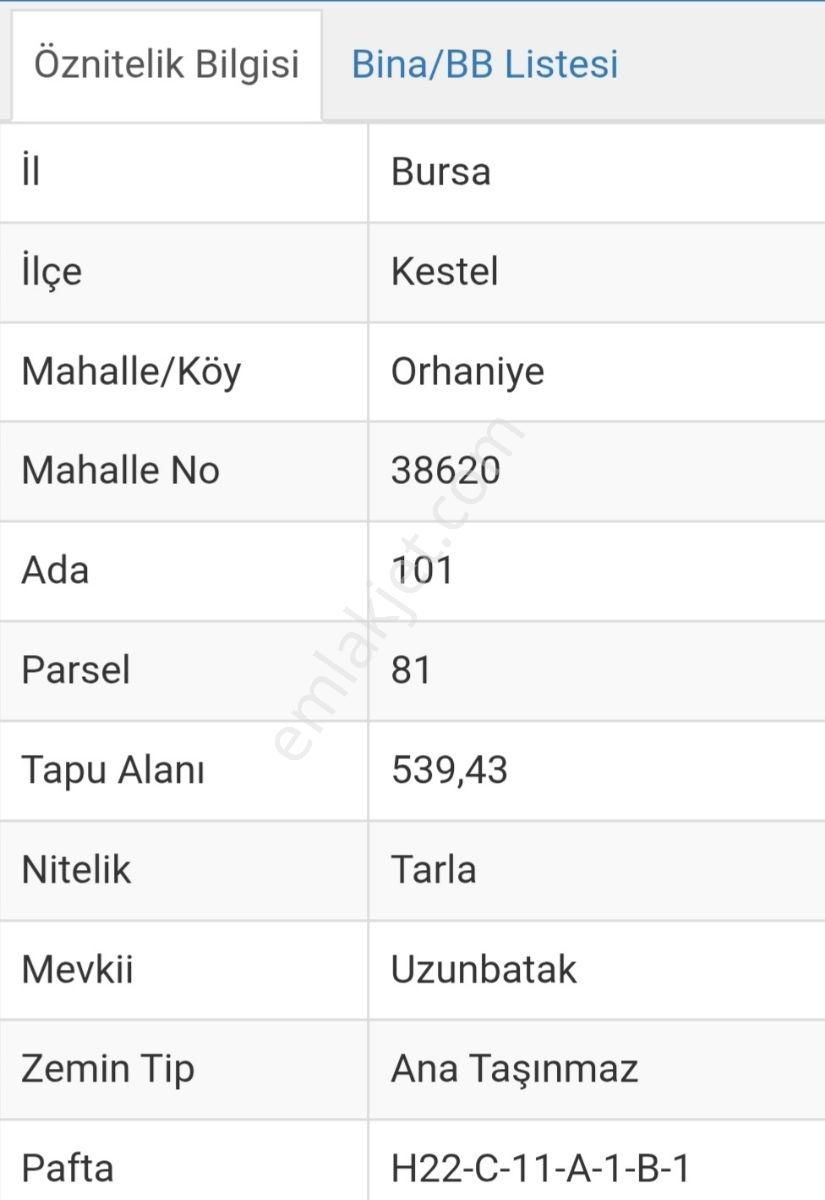 Orhanıye De Satılık Ana Yol Kenarında Kıymetli Arazi - Görsel 9