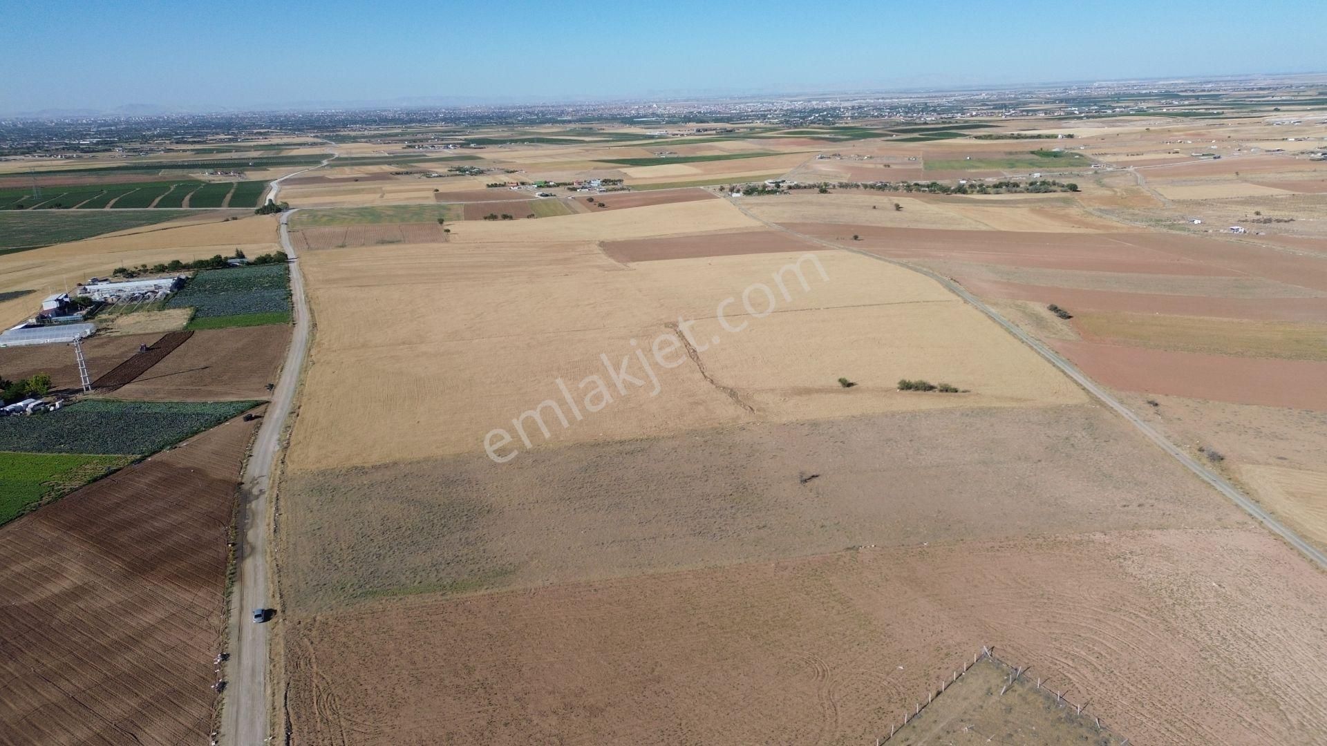 Konya / Meram / Gödene Mahallesinde 14.245 M² Müstakil Tapulu Tarla - Görsel 6