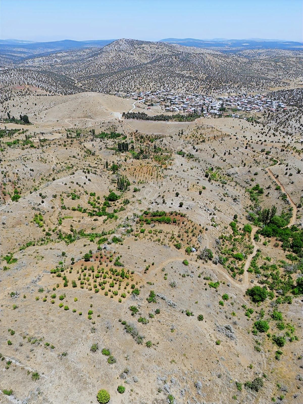 Müstakil Tapulu Yatırımlık Bağ Yeri - Görsel 3