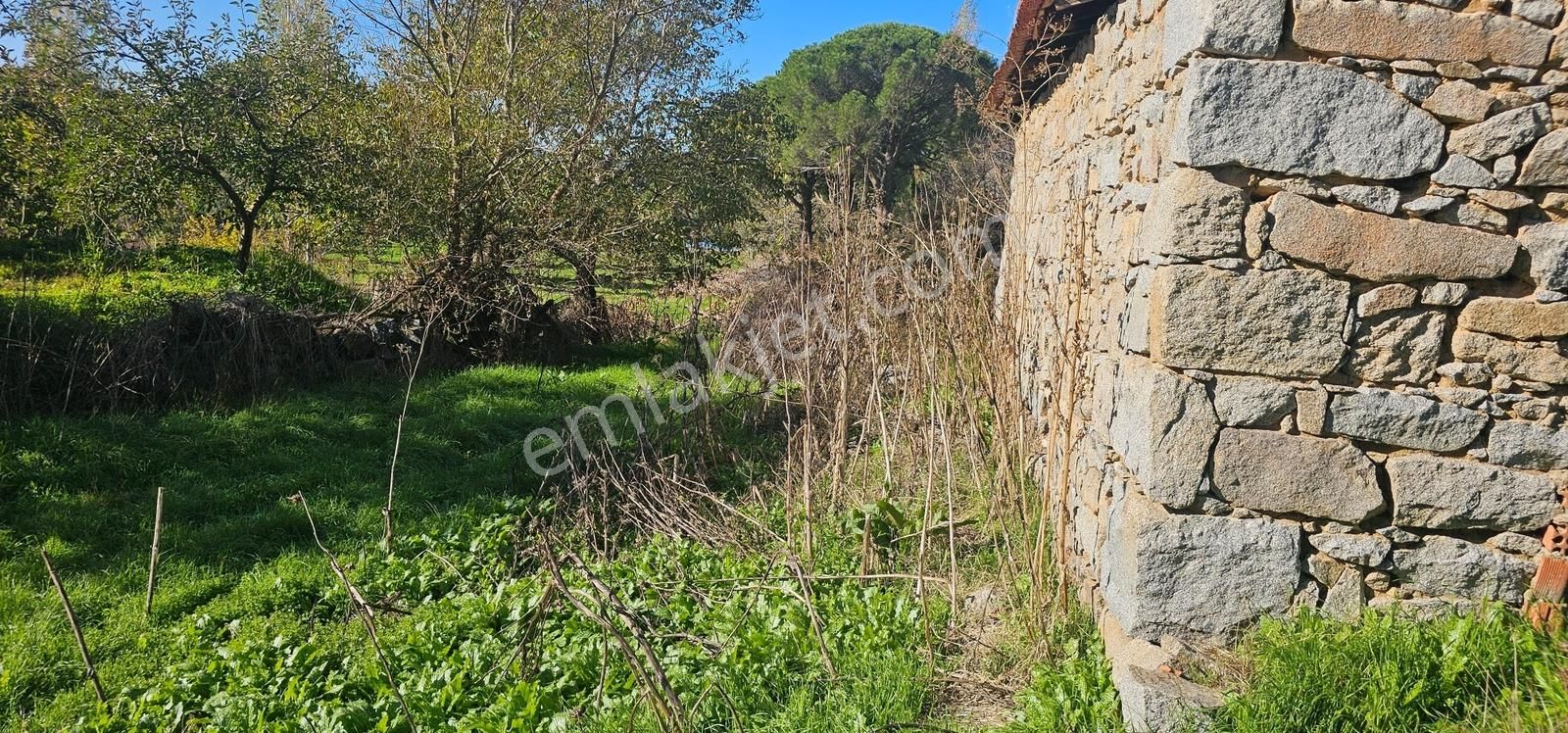 Köy Merkezinde İmarlı 2 Arsa-müstakil Tapu (533 M2 ) - Görsel 15