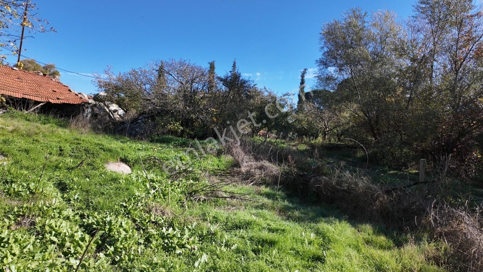 Köy Merkezinde İmarlı 2 Arsa-müstakil Tapu (533 M2 ) - Görsel 12