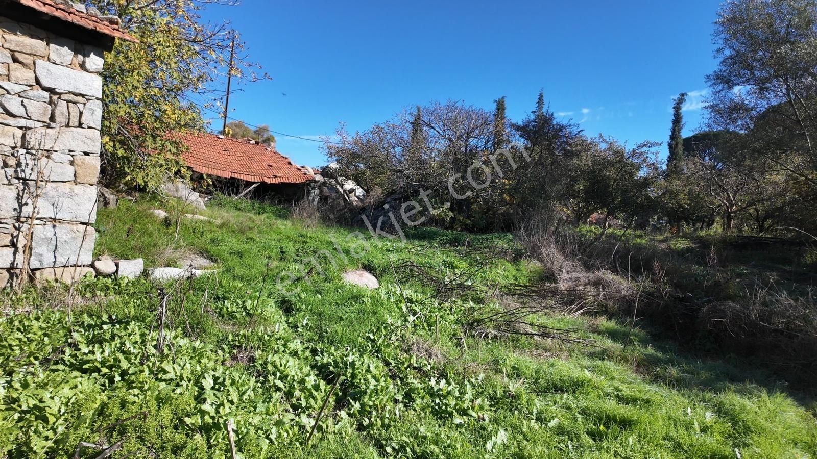 Köy Merkezinde İmarlı 2 Arsa-müstakil Tapu (533 M2 ) - Görsel 5