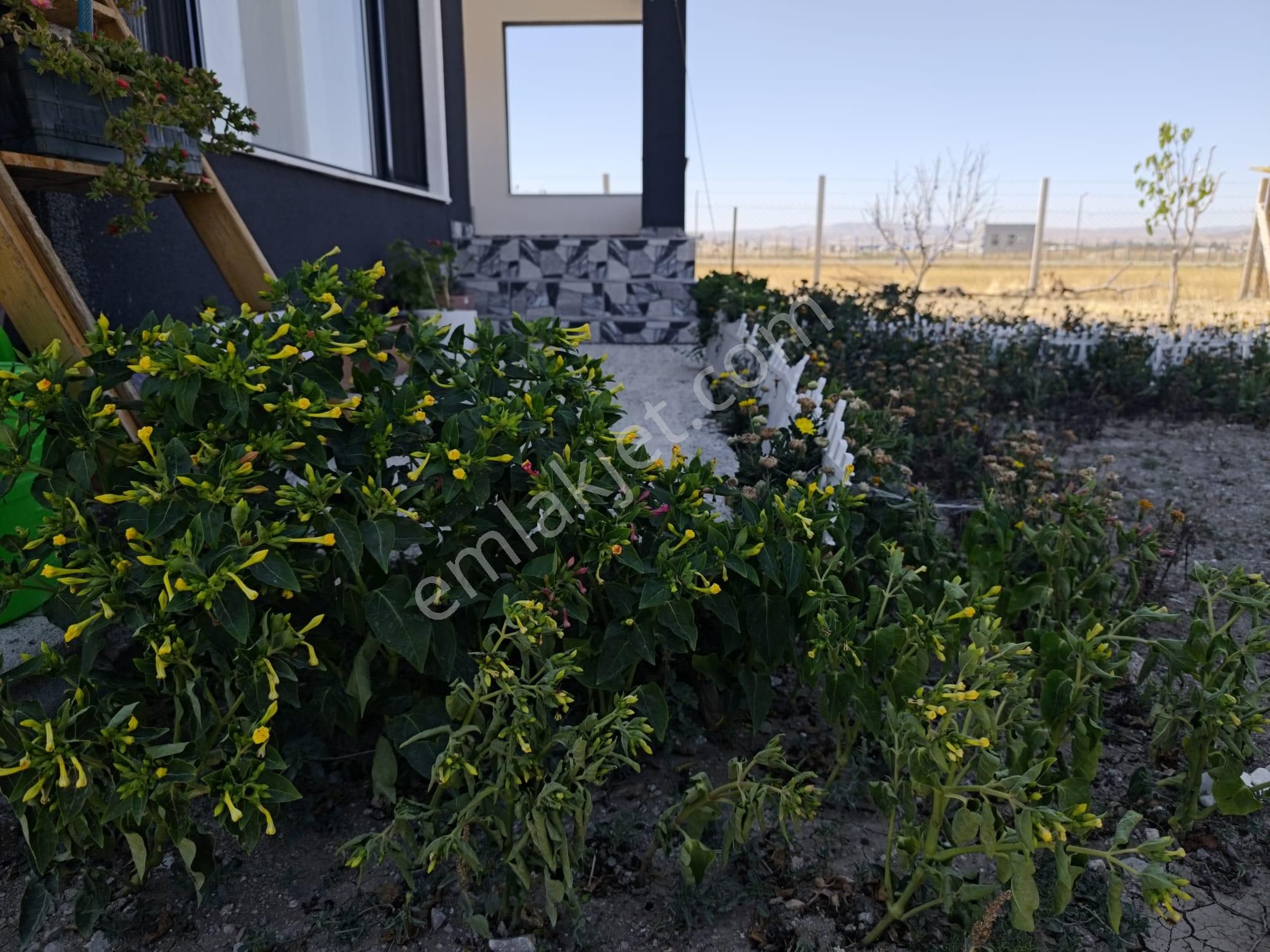 Ankara Çubuk Güldarpı Havaalanına Sınır Belediye Onaylı Dubleks Hobi Bahçesi - Görsel 5