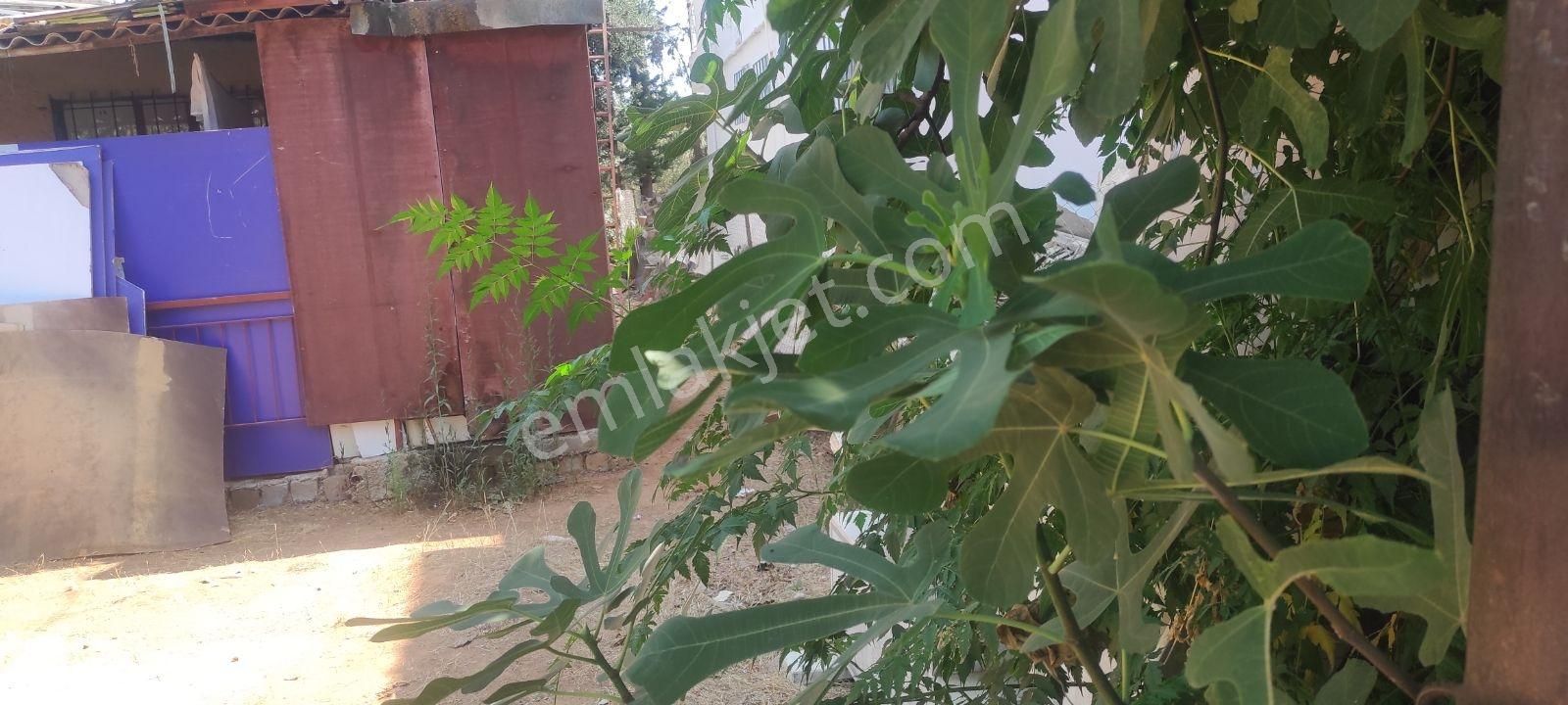 Aksu Atatürk Mah. Altınova Bulvarına 500.mt Mesafede Müstakil Ev - Görsel 10