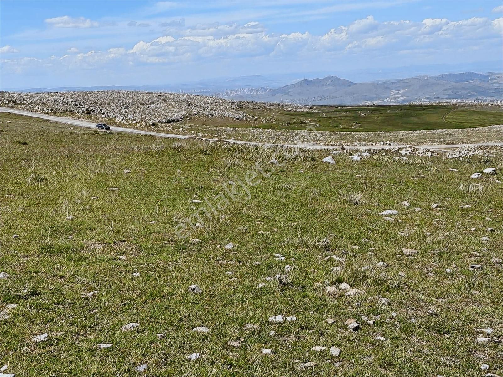 ===kıbrıs 221 M2 Hisse Bahçelik Ve Yatırıma Uygun Hisse=== - Görsel 27