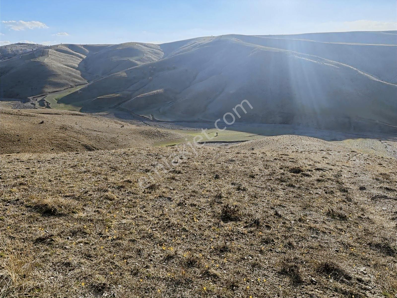 ==civanpınar Mevki-250 M2 Hobi Bahçesi Ve Yatırımlık-yolu Var== - Görsel 6