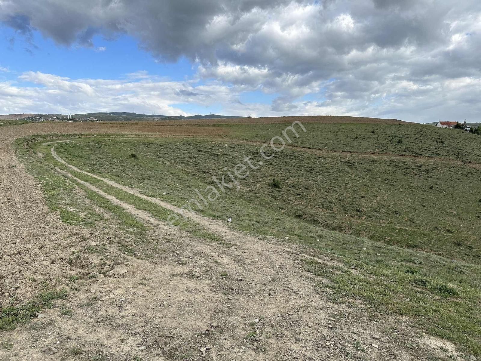 ==civanpınar Mevki-250 M2 Hobi Bahçesi Ve Yatırımlık-yolu Var== - Görsel 24