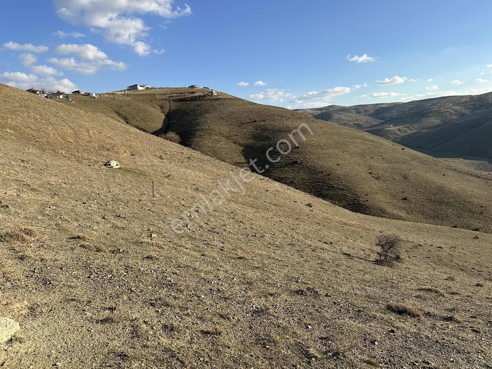 ==civanpınar Mevki-250 M2 Hobi Bahçesi Ve Yatırımlık-yolu Var== - Görsel 9
