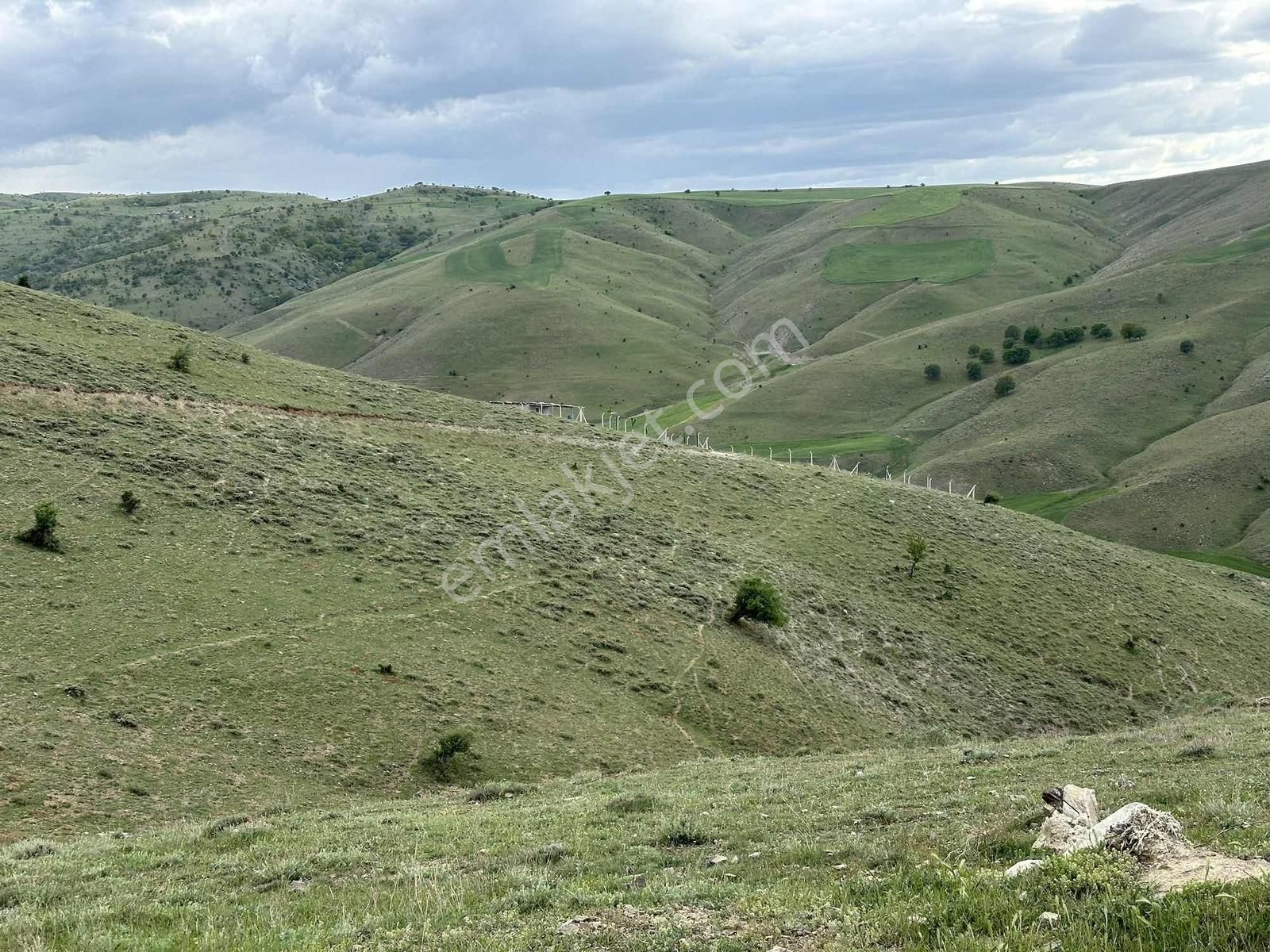 ==civanpınar Mevki-250 M2 Hobi Bahçesi Ve Yatırımlık-yolu Var== - Görsel 12