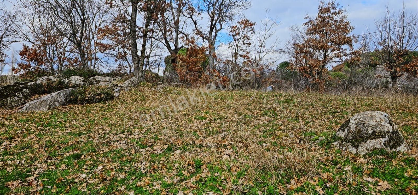 Kozak Yaylasında Yatırım&yaşam Karaveliler (500 M2 Konut İmkanı) - Görsel 5