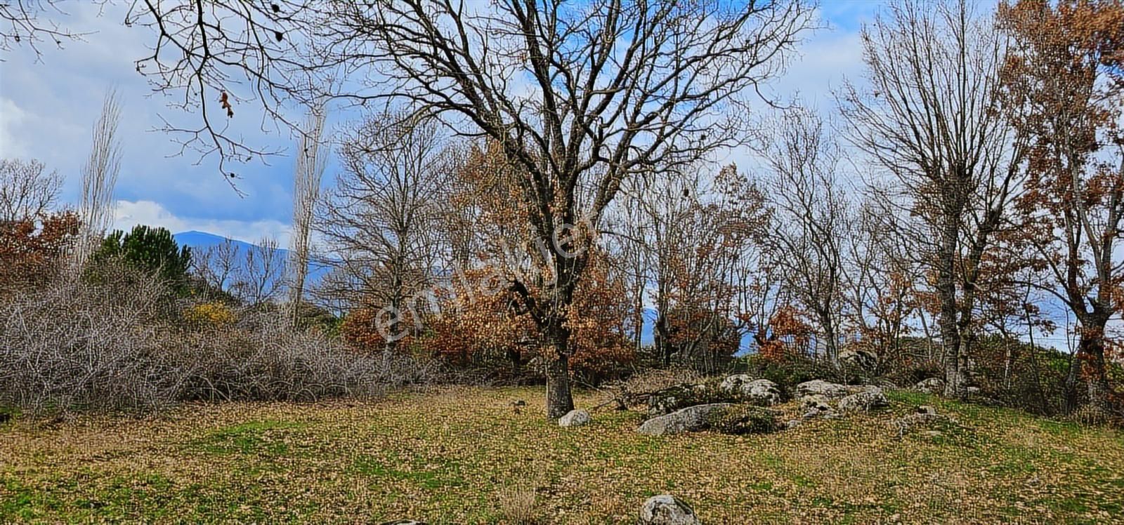 Kozak Yaylasında Yatırım&yaşam Karaveliler (500 M2 Konut İmkanı) - Görsel 15
