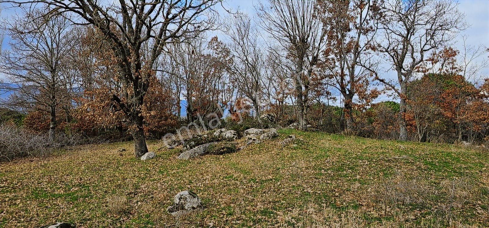 Kozak Yaylasında Yatırım&yaşam Karaveliler (500 M2 Konut İmkanı) - Görsel 16