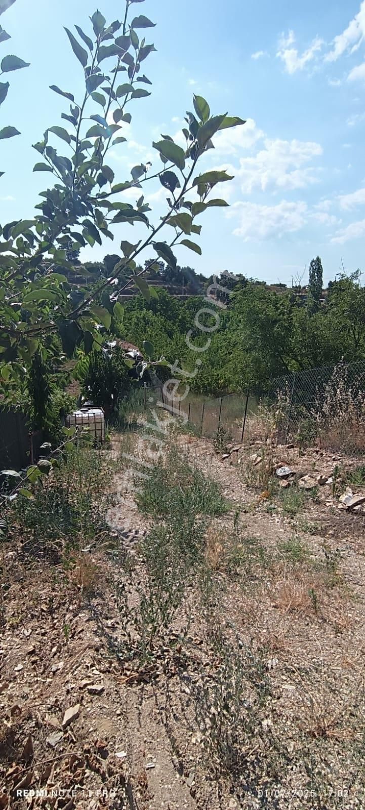 Turgutlu Dağyeniköy'de Satılık Hobi Bahçesi - Görsel 17