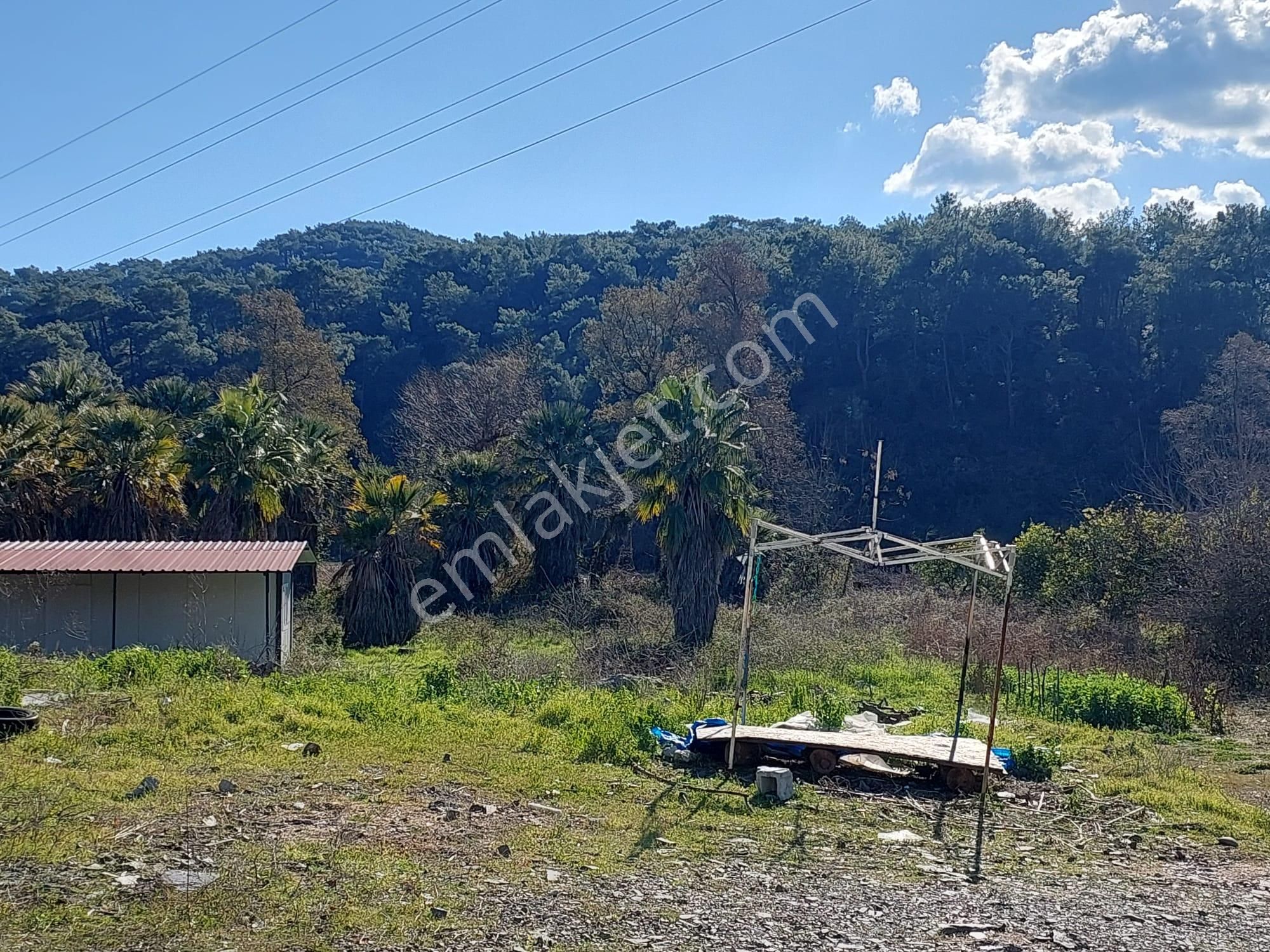 Ortaca, Kemaliye De Ana Yola Sıfır Hisseli 3 000 M2, Arazi Satılık