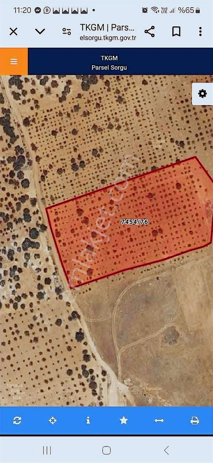 Suboğaz Sınırı Bilek Tapusu 10 Dönüm Arazimiz Satılık