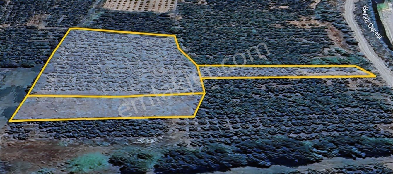 Sakarya Hendek Punabey Satılık Arazi (bölgenin En Uygunu) - Görsel 4