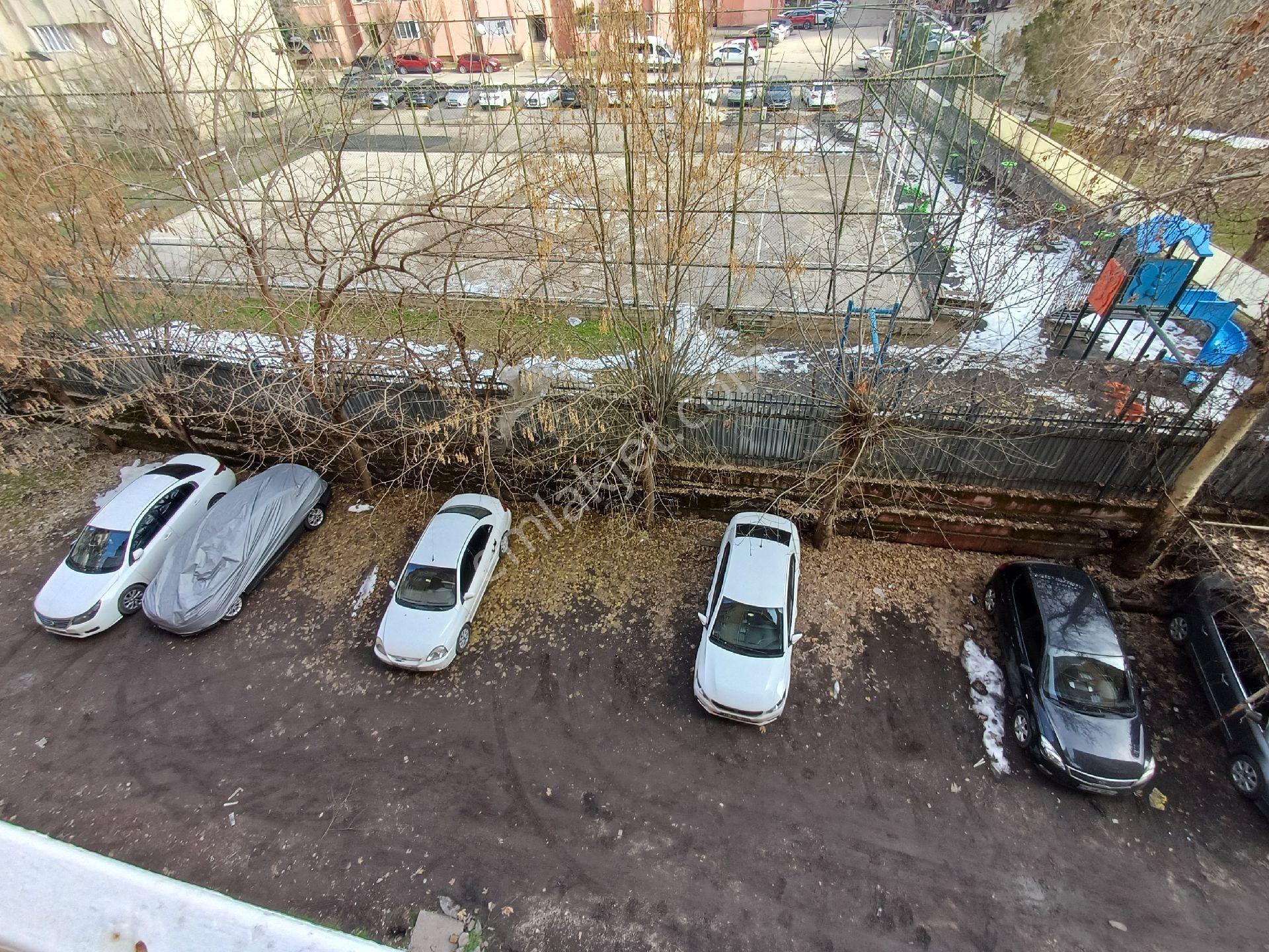 Şirinler Emlak Kiralık 3+1 Rızvanağa Cad Özemek - Görsel 12