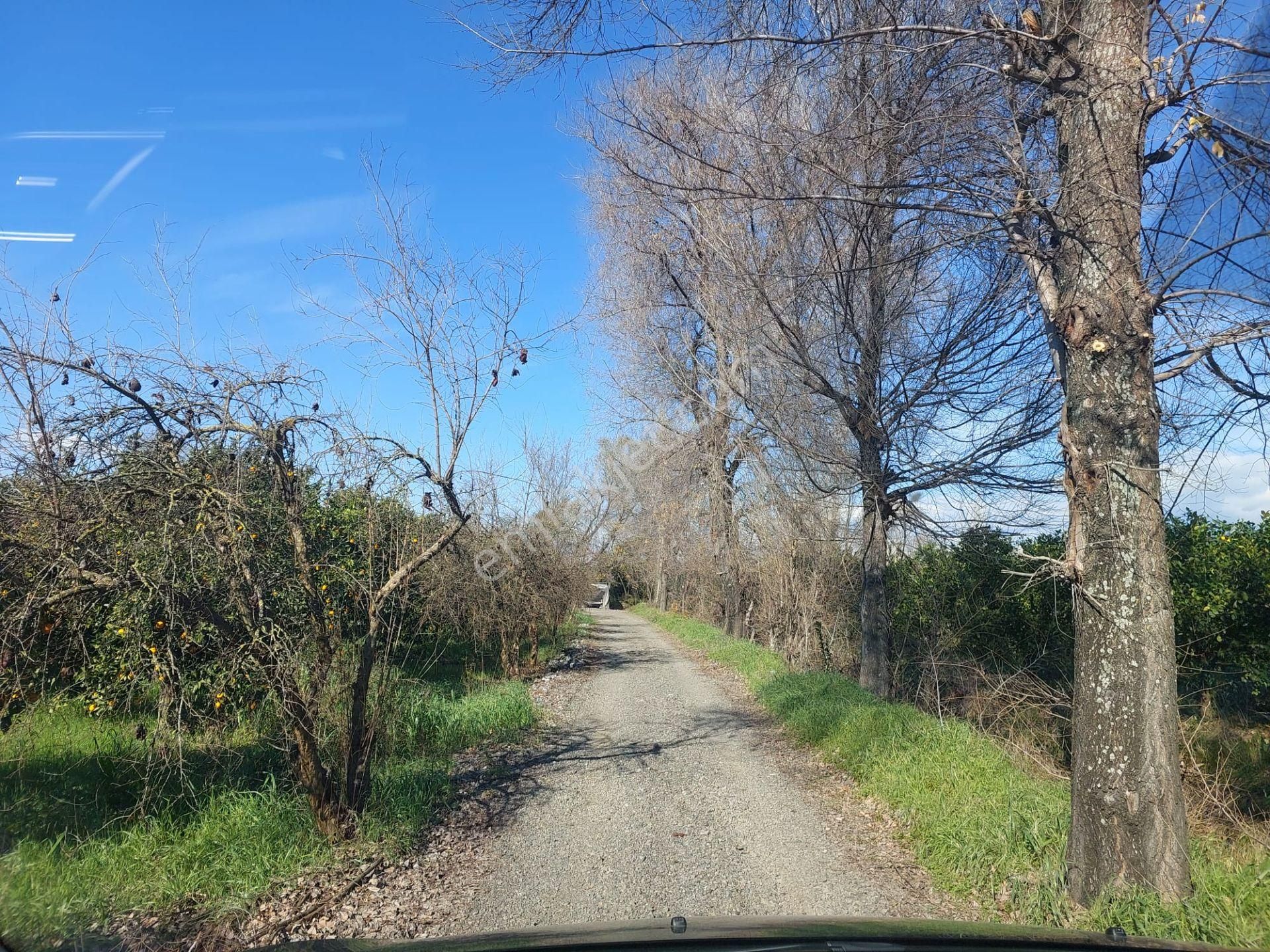 Muğla Okçular Portakal Bahçesi 4.400m2 İmar Planı İçinde Arsa Yatırıma Uygun Satılık - Görsel 8