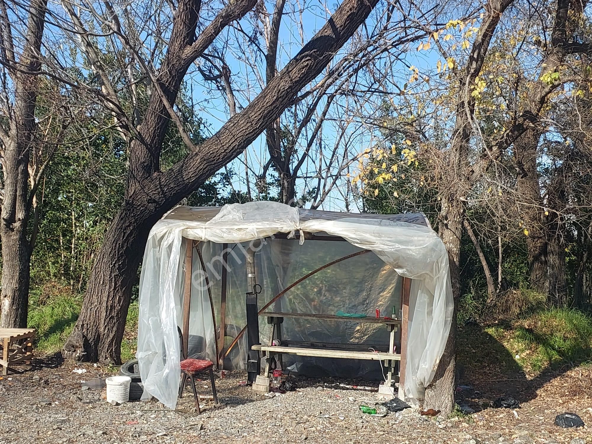 Muğla Okçular Portakal Bahçesi 4.400m2 İmar Planı İçinde Arsa Yatırıma Uygun Satılık - Görsel 6