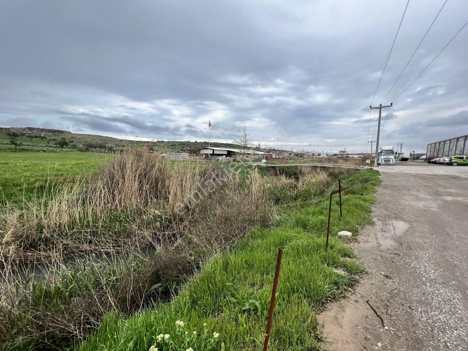 Balıkesir Ayvalık Ta Satılık 46 Donum Arsa.anayola 2. Parsel. - Görsel 11