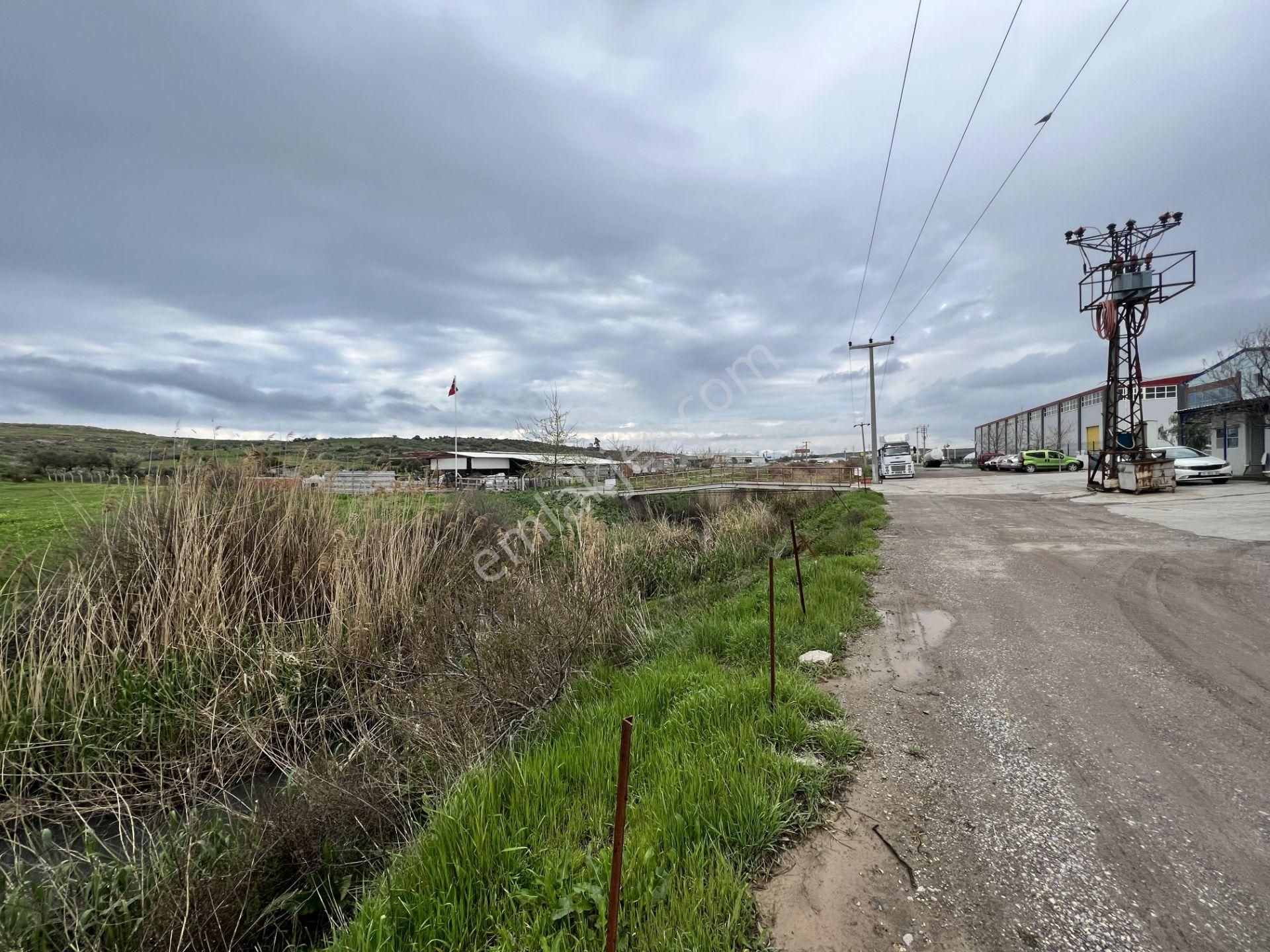 Balıkesir Ayvalık Ta Satılık 46 Donum Arsa.anayola 2. Parsel.