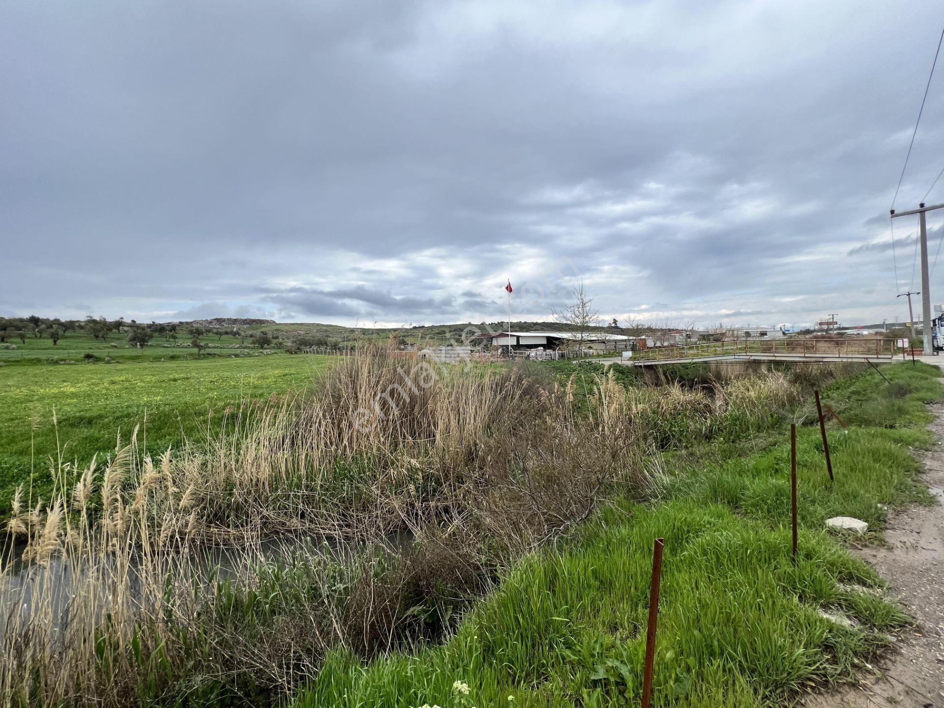 Balıkesir Ayvalık Ta Satılık 46 Donum Arsa.anayola 2. Parsel. - Görsel 13