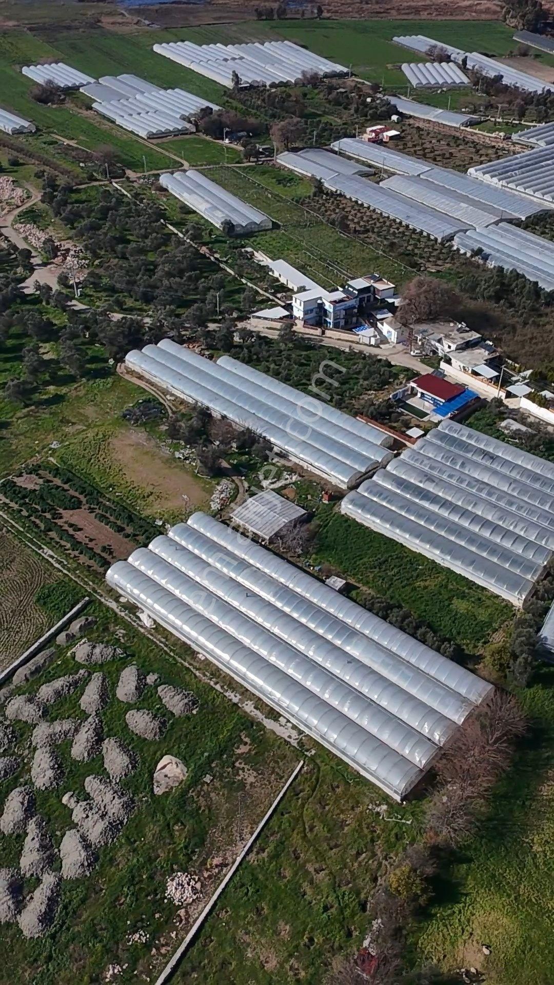 Antalya Kaş Kalkan Çayköyde Satılık Sera Ve Arazisi 7485 M2 - Görsel 6