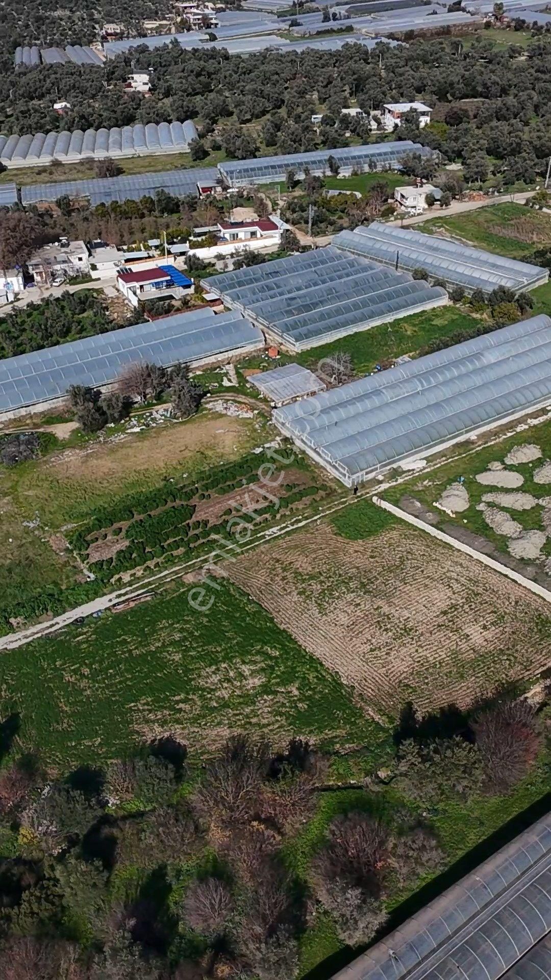 Antalya Kaş Kalkan Çayköyde Satılık Sera Ve Arazisi 7485 M2 - Görsel 4