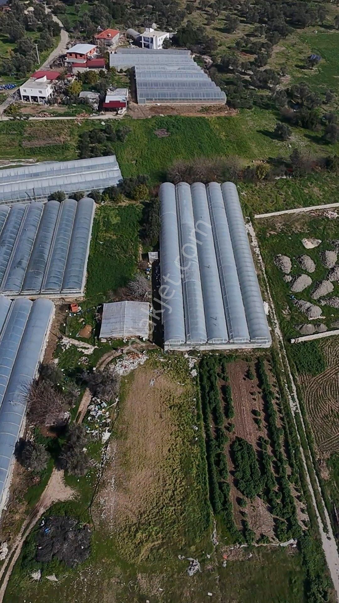 Antalya Kaş Kalkan Çayköyde Satılık Sera Ve Arazisi 7485 M2 - Görsel 23