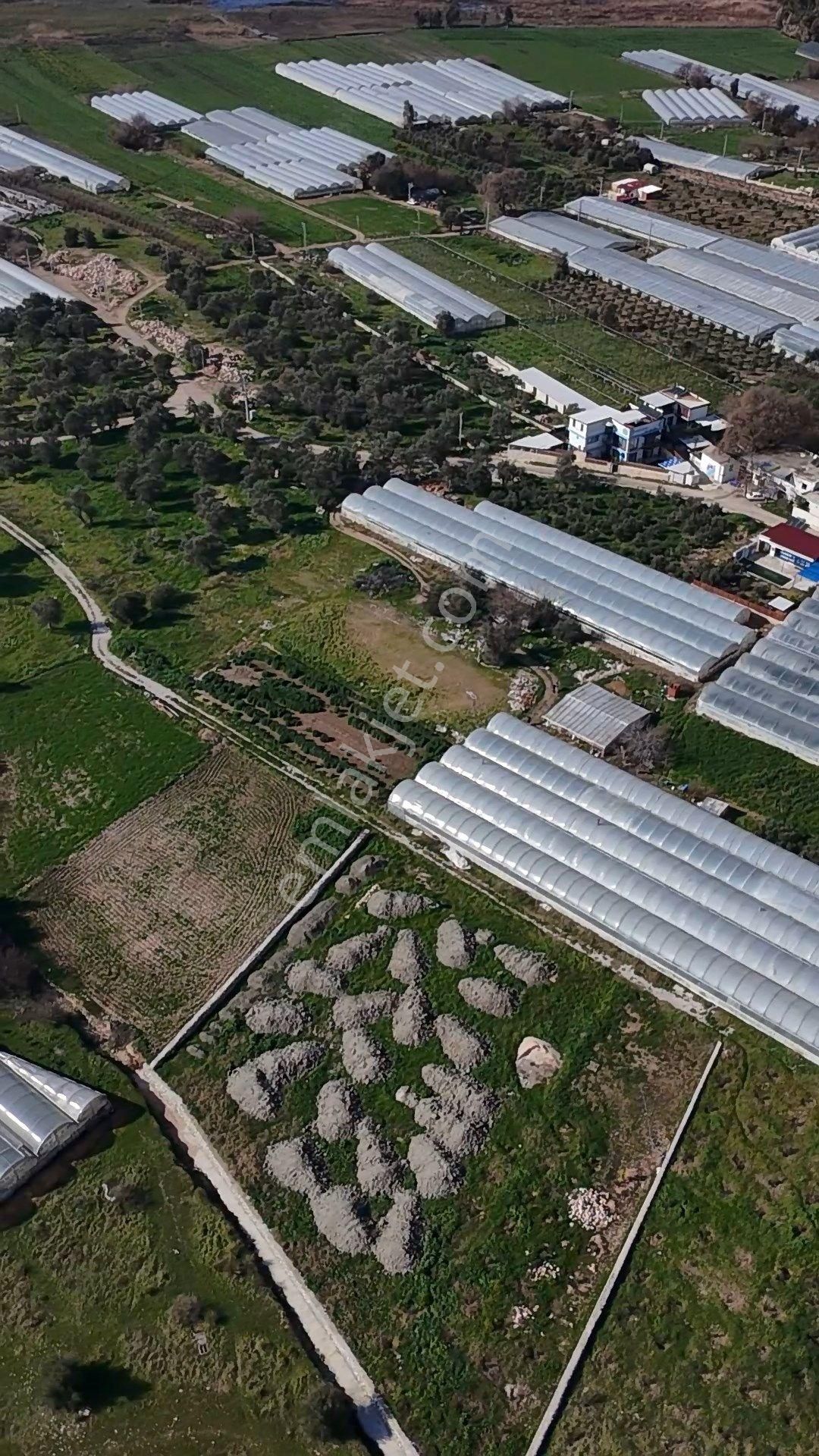 Antalya Kaş Kalkan Çayköyde Satılık Sera Ve Arazisi 7485 M2 - Görsel 8