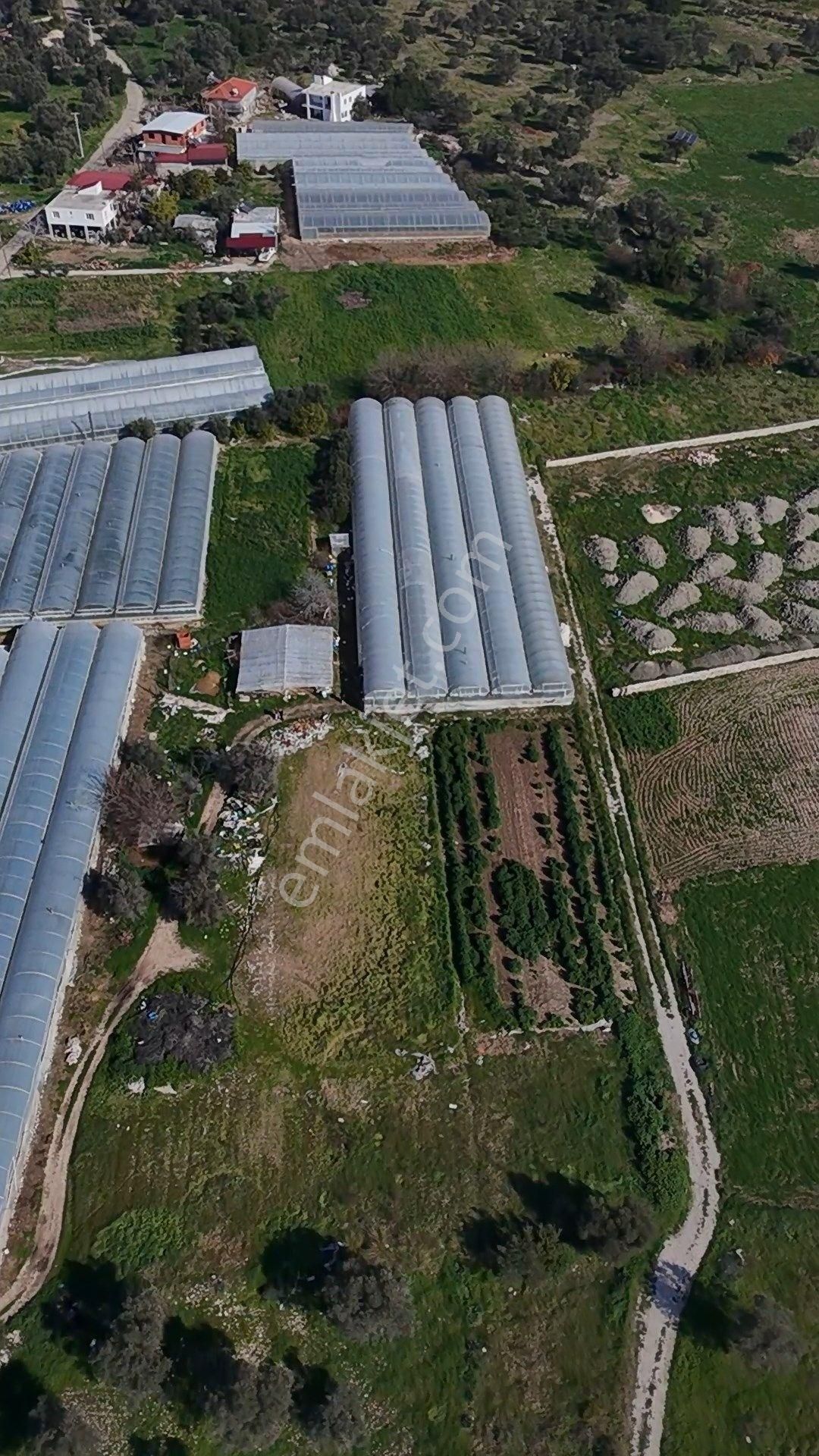 Antalya Kaş Kalkan Çayköyde Satılık Sera Ve Arazisi 7485 M2 - Görsel 22