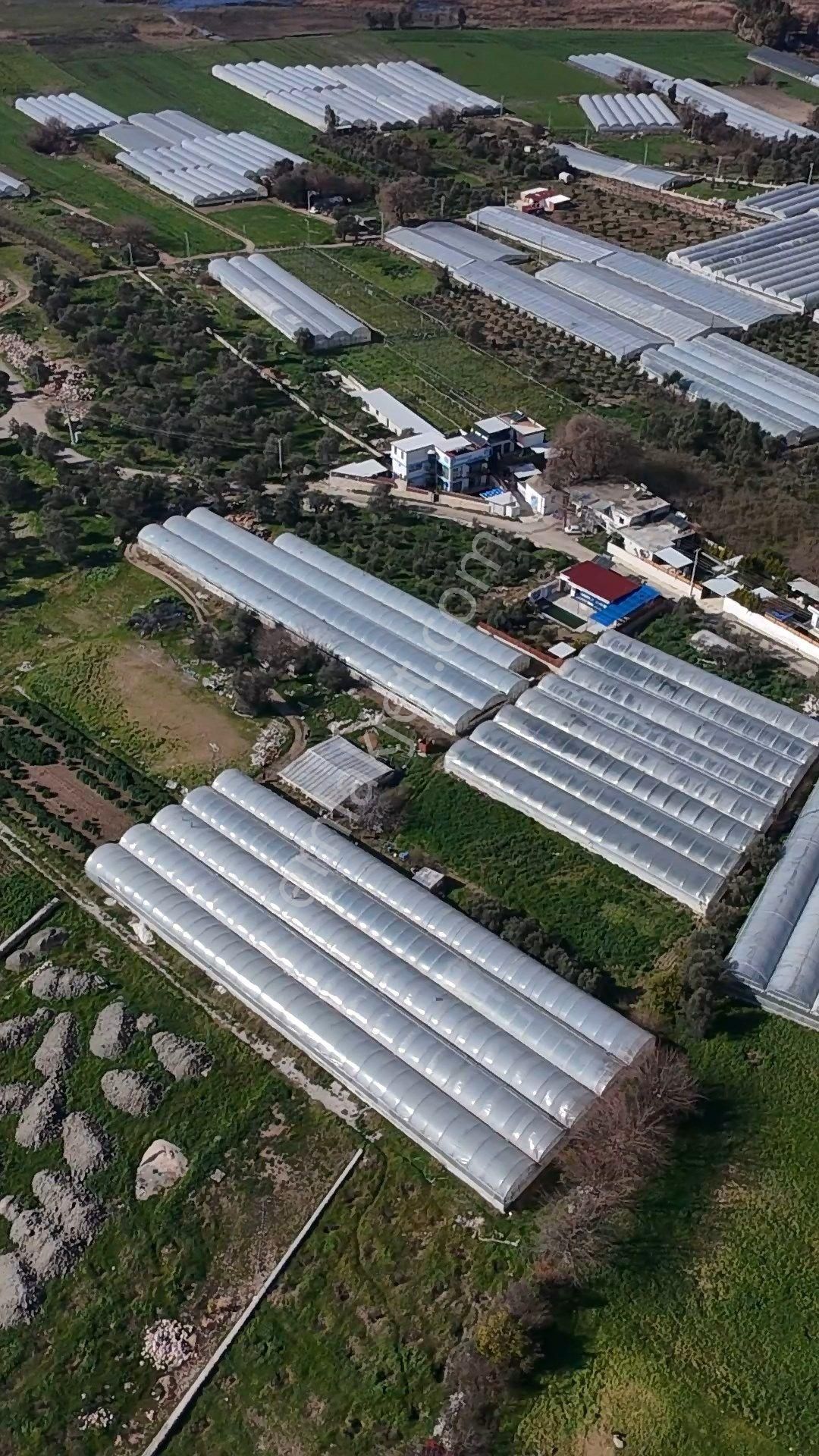 Antalya Kaş Kalkan Çayköyde Satılık Sera Ve Arazisi 7485 M2 - Görsel 5