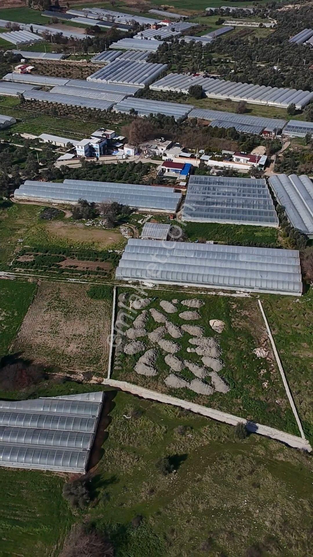 Antalya Kaş Kalkan Çayköyde Satılık Sera Ve Arazisi 7485 M2 - Görsel 10