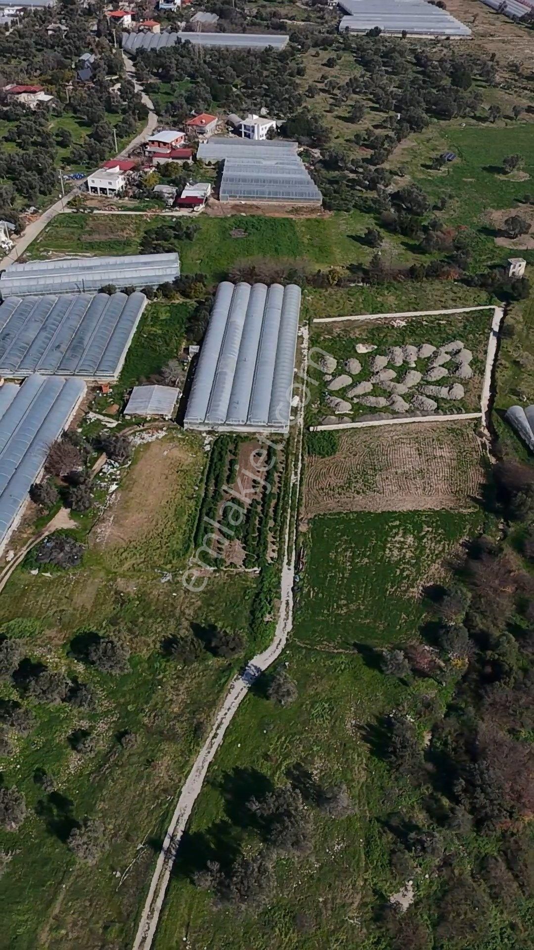 Antalya Kaş Kalkan Çayköyde Satılık Sera Ve Arazisi 7485 M2 - Görsel 21