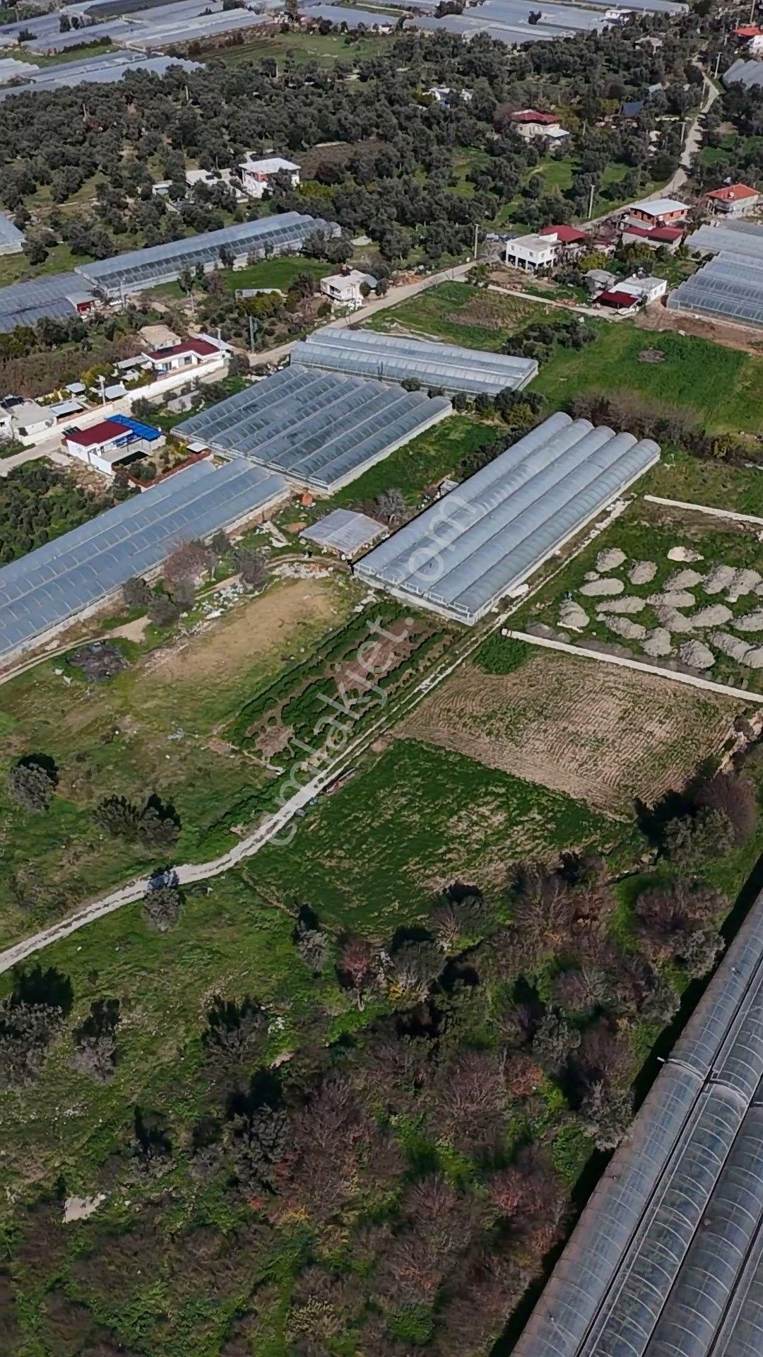 Antalya Kaş Kalkan Çayköyde Satılık Sera Ve Arazisi 7485 M2 - Görsel 15