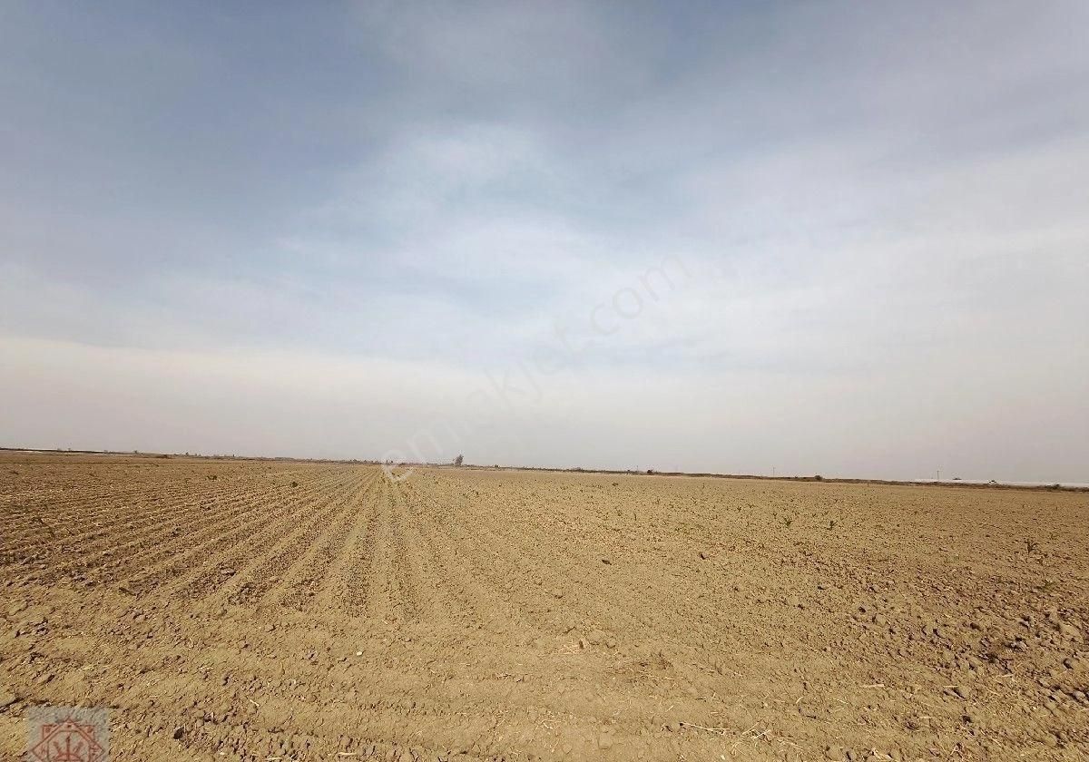 Mersin Tarsus Satılık Tarla - Görsel 2