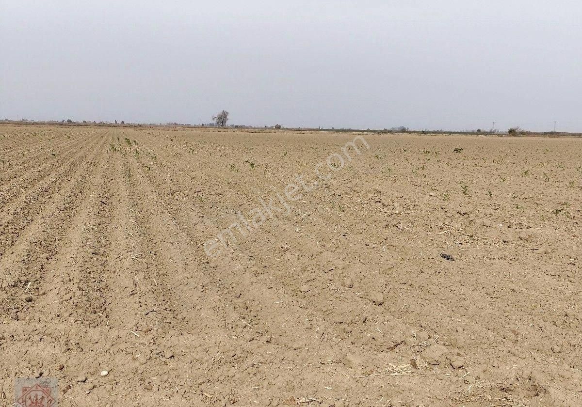 Mersin Tarsus Satılık Tarla