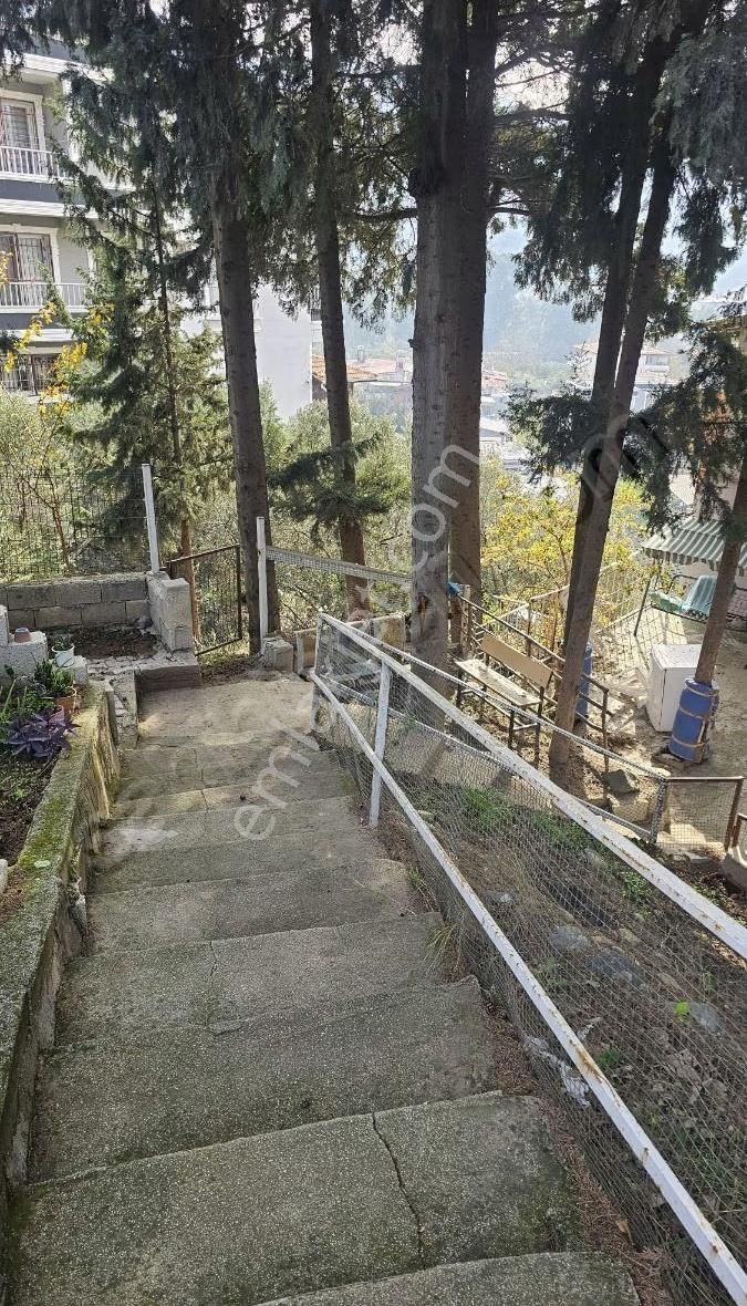 Aknehirde 3 Katlı Ev - Görsel 22